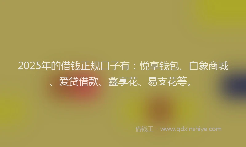 2025年的借钱正规口子有：悦享钱包、白象商城、爱贷借款、鑫享花、易支花等。