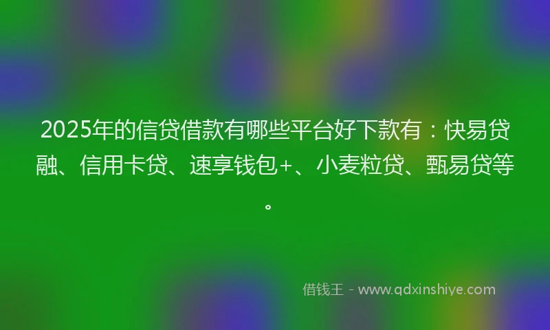 2025年的信贷借款有哪些平台好下款有：快易贷融、信用卡贷、速享钱包+、小麦粒贷、甄易贷等。