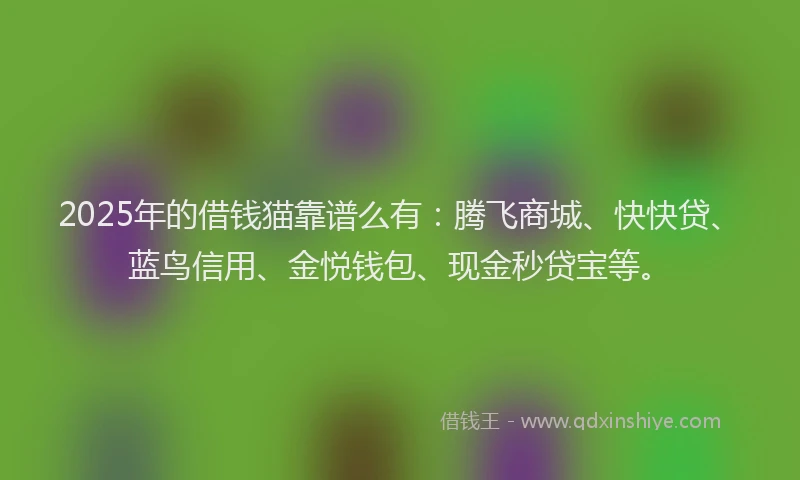 2025年的借钱猫靠谱么有:腾飞商城、快快贷、蓝鸟信用、金悦钱包、现金秒贷宝等。