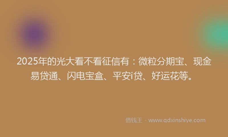 2025年的光大看不看征信有：微粒分期宝、现金易贷通、闪电宝盒、平安i贷、好运花等。