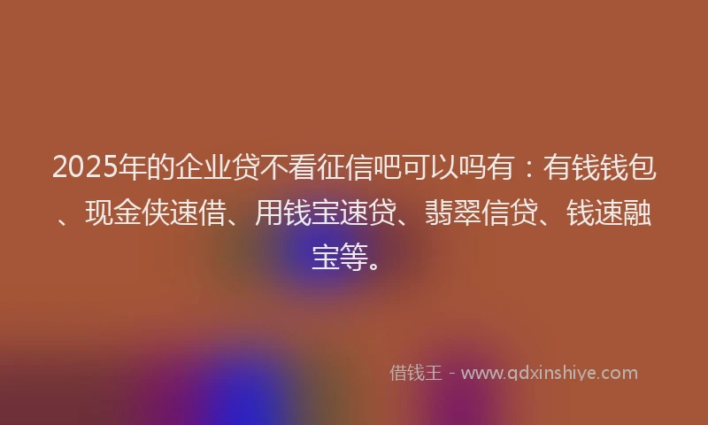 2025年的企业贷不看征信吧可以吗有：有钱钱包、现金侠速借、用钱宝速贷、翡翠信贷、钱速融宝等。