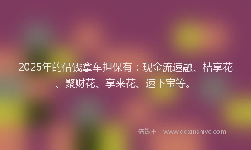 2025年的借钱拿车担保有：现金流速融、桔享花、聚财花、享来花、速下宝等。