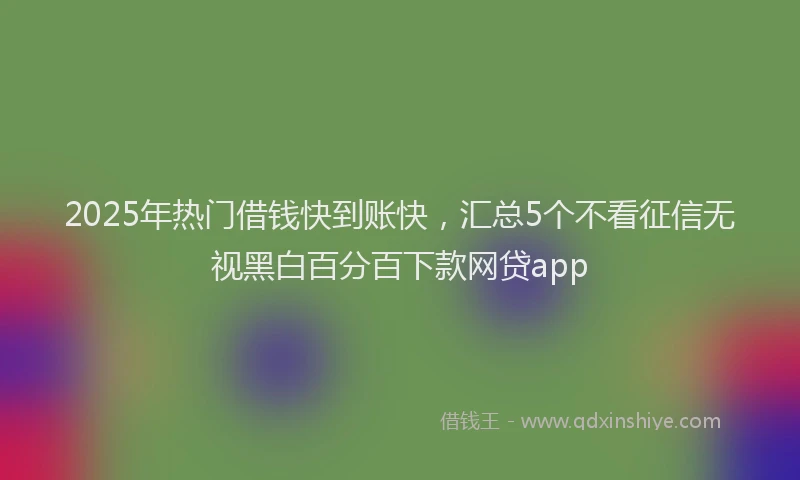 2025年热门借钱快到账快，汇总5个不看征信无视黑白百分百下款网贷app