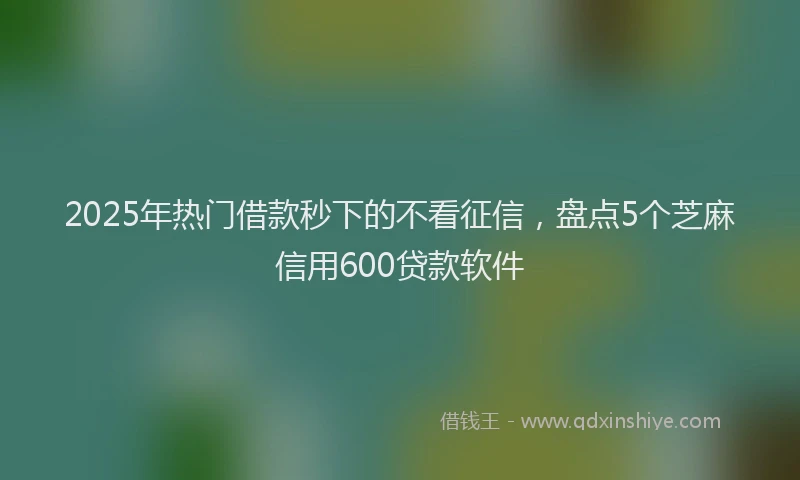 2025年热门借款秒下的不看征信，盘点5个芝麻信用600贷款软件