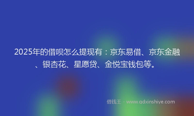 2025年的借呗怎么提现有：京东易借、京东金融、银杏花、星愿贷、金悦宝钱包等。