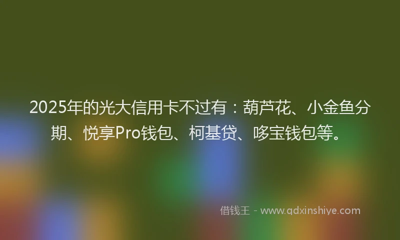 2025年的光大信用卡不过有：葫芦花、小金鱼分期、悦享Pro钱包、柯基贷、哆宝钱包等。