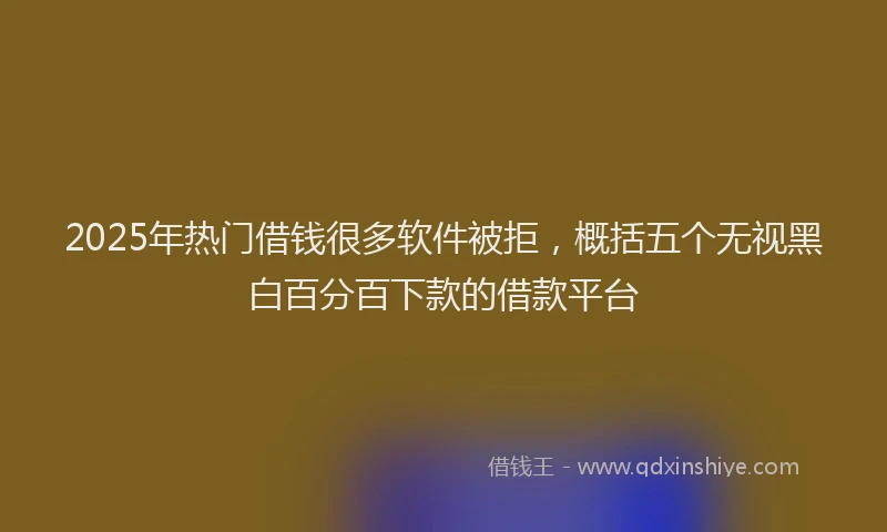 2025年热门借钱很多软件被拒，概括五个无视黑白百分百下款的借款平台