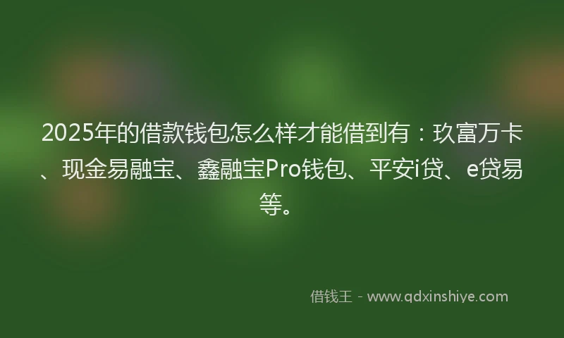 2025年的借款钱包怎么样才能借到有：玖富万卡、现金易融宝、鑫融宝Pro钱包、平安i贷、e贷易等。