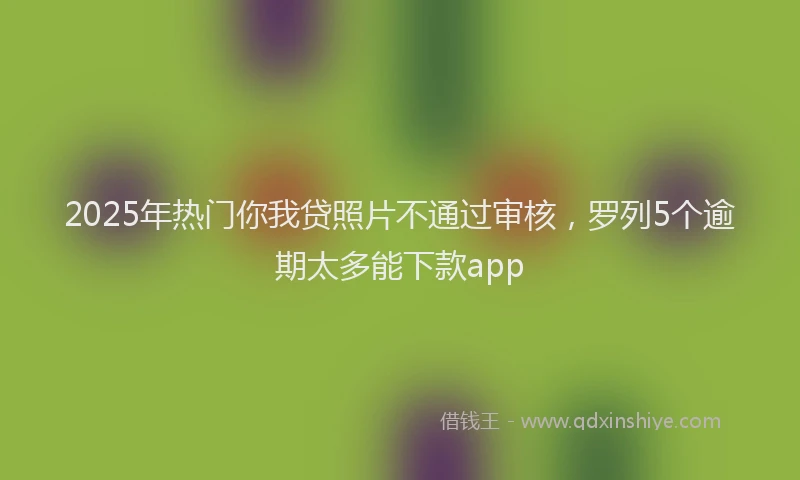2025年热门你我贷照片不通过审核，罗列5个逾期太多能下款app