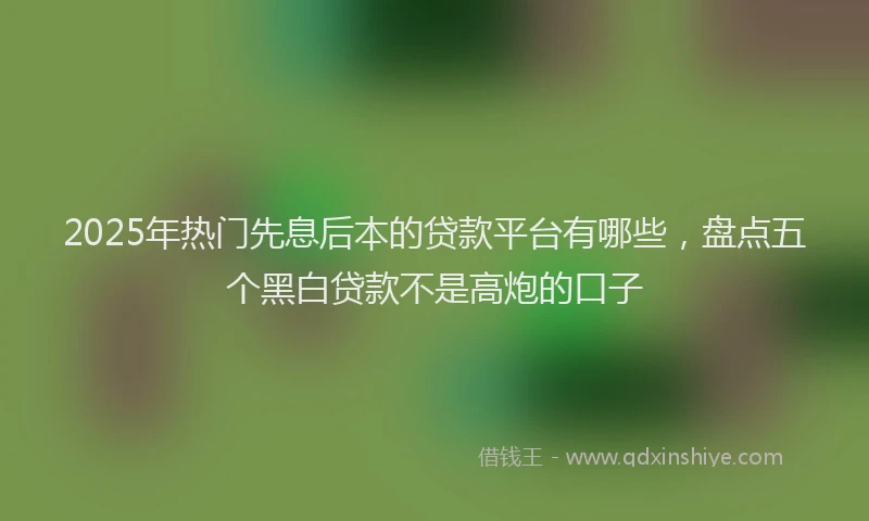2025年热门先息后本的贷款平台有哪些，盘点五个黑白贷款不是高炮的口子