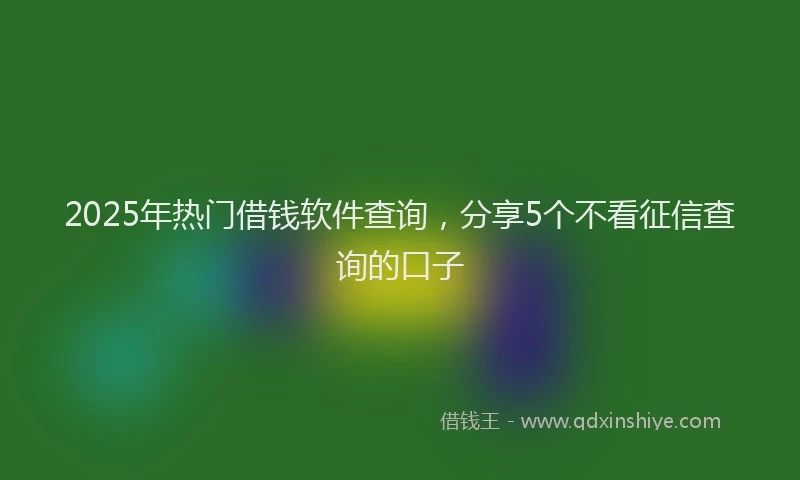 2025年热门借钱软件查询，分享5个不看征信查询的口子