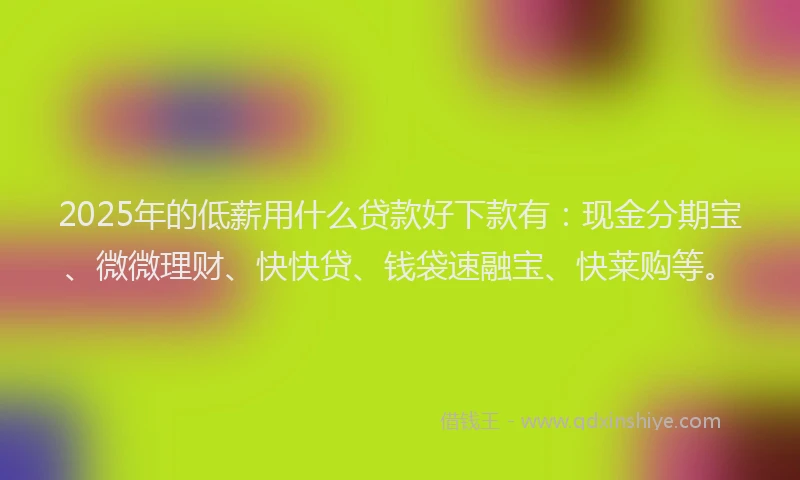 2025年的低薪用什么贷款好下款有：现金分期宝、微微理财、快快贷、钱袋速融宝、快莱购等。