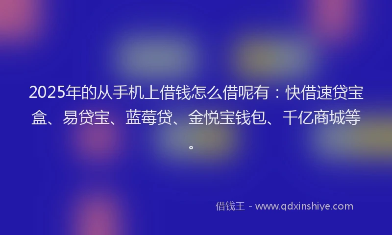 2025年的从手机上借钱怎么借呢有：快借速贷宝盒、易贷宝、蓝莓贷、金悦宝钱包、千亿商城等。