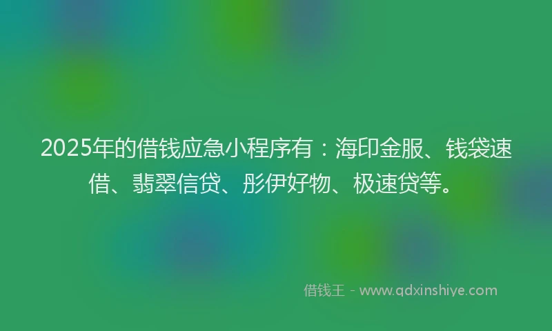 2025年的借钱应急小程序有：海印金服、钱袋速借、翡翠信贷、彤伊好物、极速贷等。