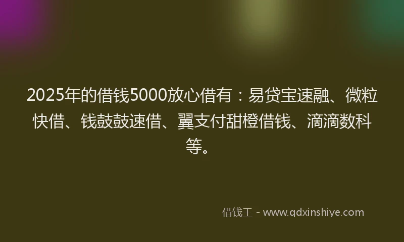 2025年的借钱5000放心借有：易贷宝速融、微粒快借、钱鼓鼓速借、翼支付甜橙借钱、滴滴数科等。