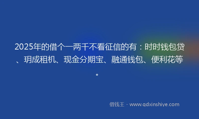 2025年的借个一两千不看征信的有：时时钱包贷、玥成租机、现金分期宝、融通钱包、便利花等。