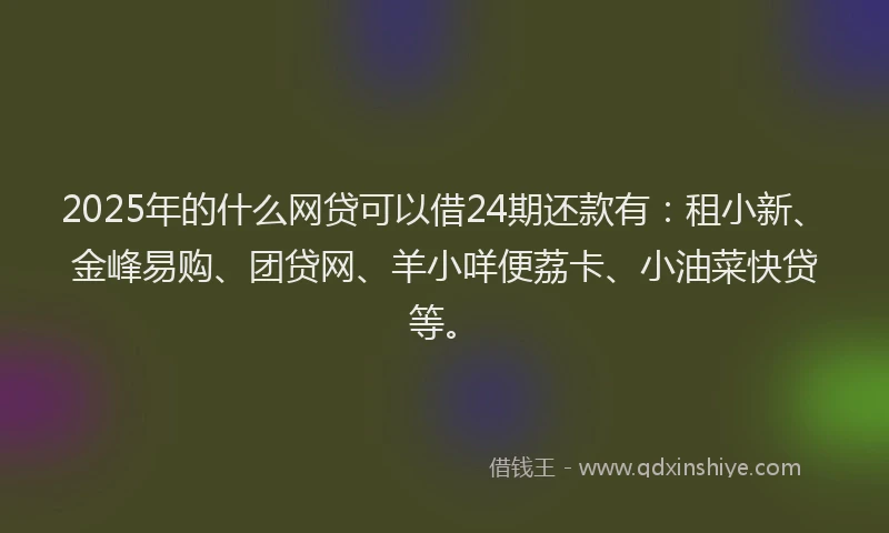 2025年的什么网贷可以借24期还款有：租小新、金峰易购、团贷网、羊小咩便荔卡、小油菜快贷等。