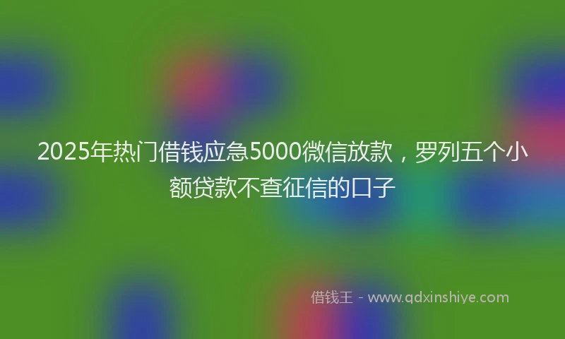2025年热门借钱应急5000微信放款，罗列五个小额贷款不查征信的口子