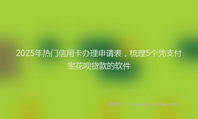2025年热门信用卡办理申请表，梳理5个凭支付宝花呗贷款的软件