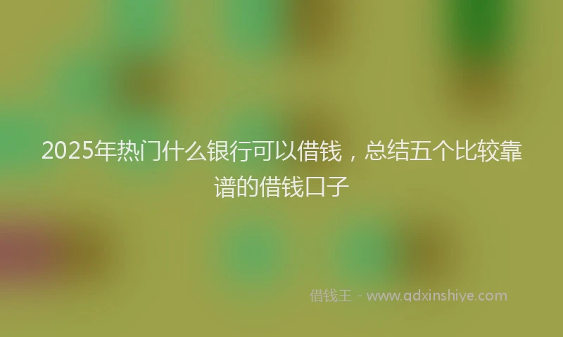 2025年热门什么银行可以借钱，总结五个比较靠谱的借钱口子