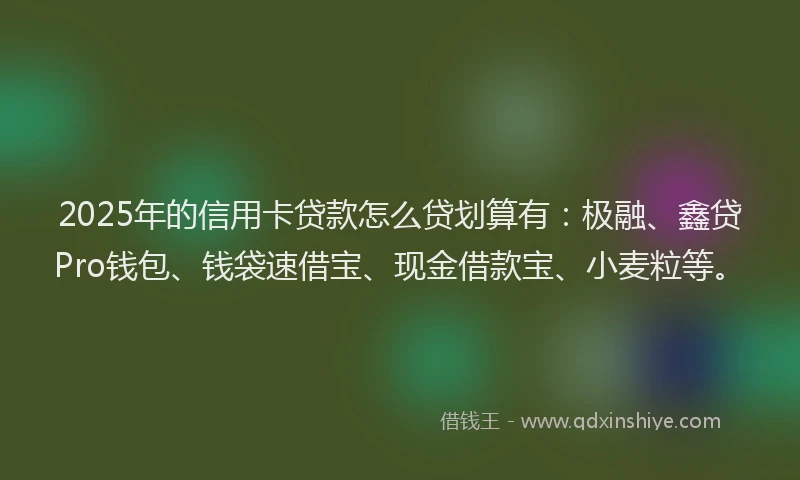 2025年的信用卡贷款怎么贷划算有：极融、鑫贷Pro钱包、钱袋速借宝、现金借款宝、小麦粒等。