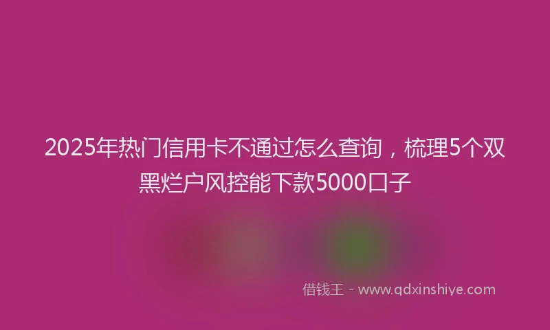 2025年热门信用卡不通过怎么查询，梳理5个双黑烂户风控能下款5000口子