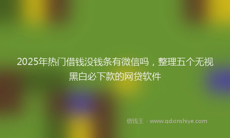 2025年热门借钱没钱条有微信吗，整理五个无视黑白必下款的网贷软件