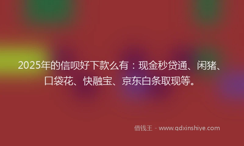 2025年的信呗好下款么有：现金秒贷通、闲猪、口袋花、快融宝、京东白条取现等。