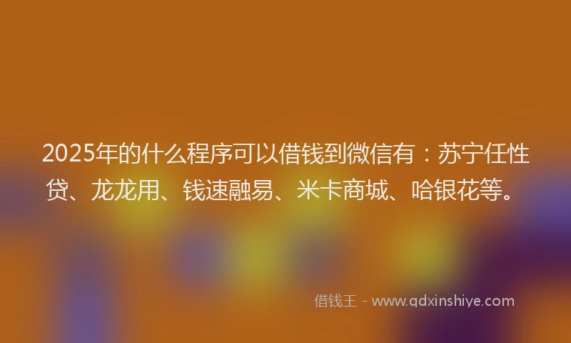2025年的什么程序可以借钱到微信有：苏宁任性贷、龙龙用、钱速融易、米卡商城、哈银花等。