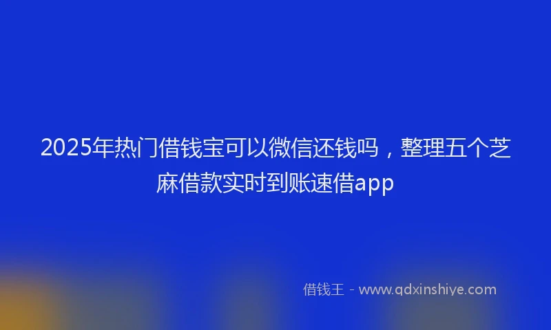 2025年热门借钱宝可以微信还钱吗，整理五个芝麻借款实时到账速借app