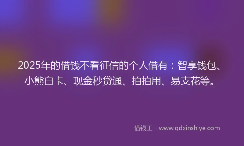2025年的借钱不看征信的个人借有：智享钱包、小熊白卡、现金秒贷通、拍拍用、易支花等。