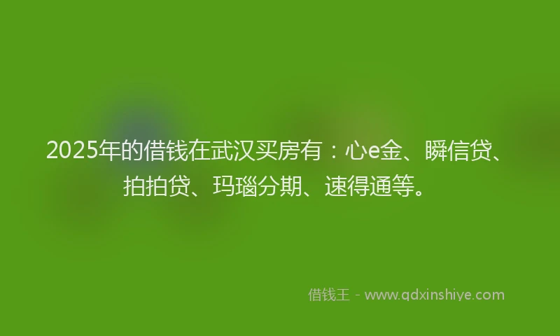 2025年的借钱在武汉买房有：心e金、瞬信贷、拍拍贷、玛瑙分期、速得通等。