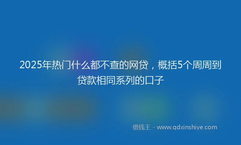 2025年热门什么都不查的网贷，概括5个周周到贷款相同系列的口子