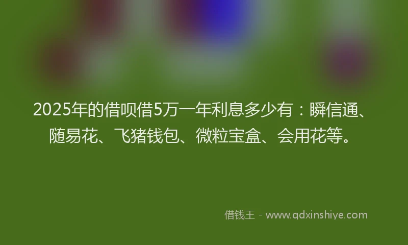 2025年的借呗借5万一年利息多少有：瞬信通、随易花、飞猪钱包、微粒宝盒、会用花等。