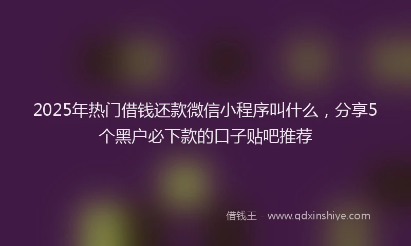 2025年热门借钱还款微信小程序叫什么，分享5个黑户必下款的口子贴吧推荐