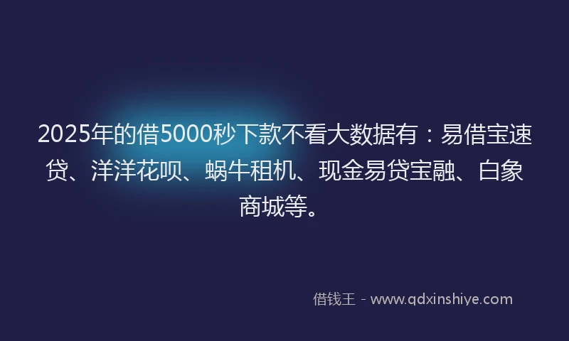 2025年的借5000秒下款不看大数据有：易借宝速贷、洋洋花呗、蜗牛租机、现金易贷宝融、白象商城等。