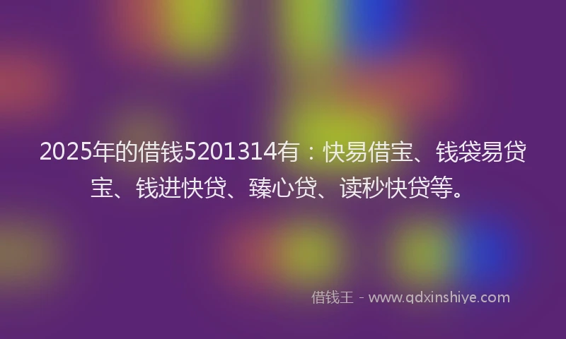 2025年的借钱5201314有：快易借宝、钱袋易贷宝、钱进快贷、臻心贷、读秒快贷等。