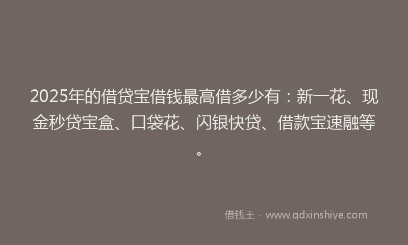 2025年的借贷宝借钱最高借多少有：新一花、现金秒贷宝盒、口袋花、闪银快贷、借款宝速融等。