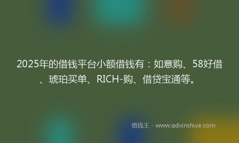 2025年的借钱平台小额借钱有：如意购、58好借、琥珀买单、RICH-购、借贷宝通等。