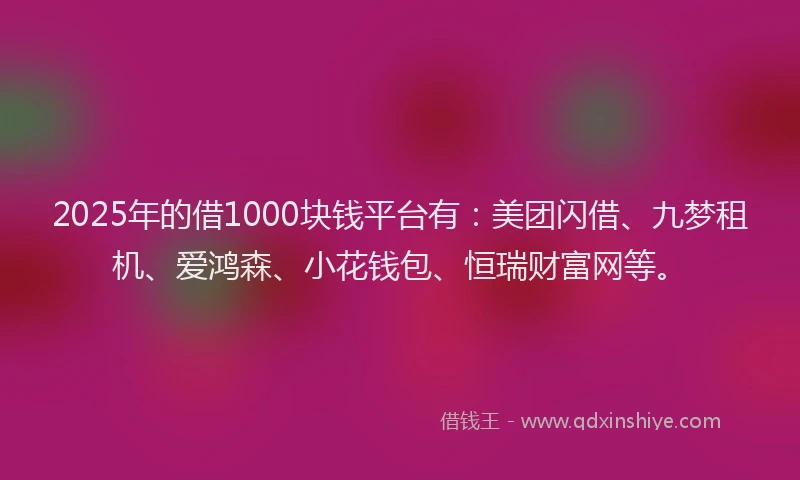 2025年的借1000块钱平台有：美团闪借、九梦租机、爱鸿森、小花钱包、恒瑞财富网等。