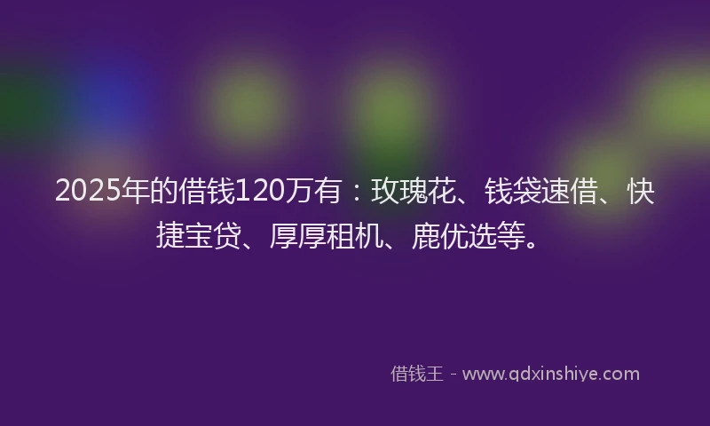 2025年的借钱120万有：玫瑰花、钱袋速借、快捷宝贷、厚厚租机、鹿优选等。