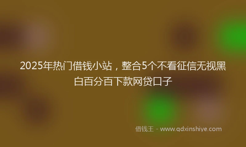 2025年热门借钱小站，整合5个不看征信无视黑白百分百下款网贷口子