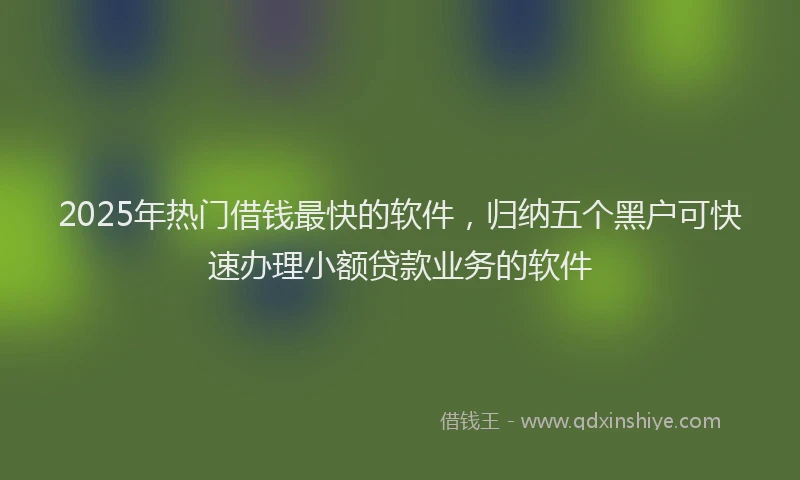 2025年热门借钱最快的软件，归纳五个黑户可快速办理小额贷款业务的软件