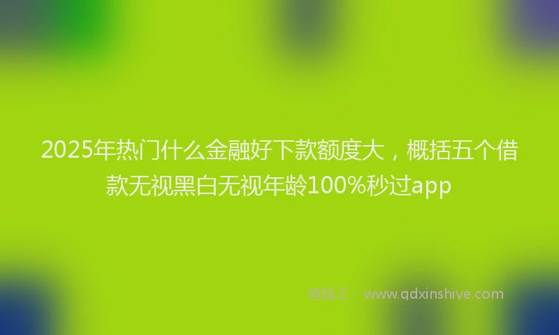 2025年热门什么金融好下款额度大，概括五个借款无视黑白无视年龄100%秒过app