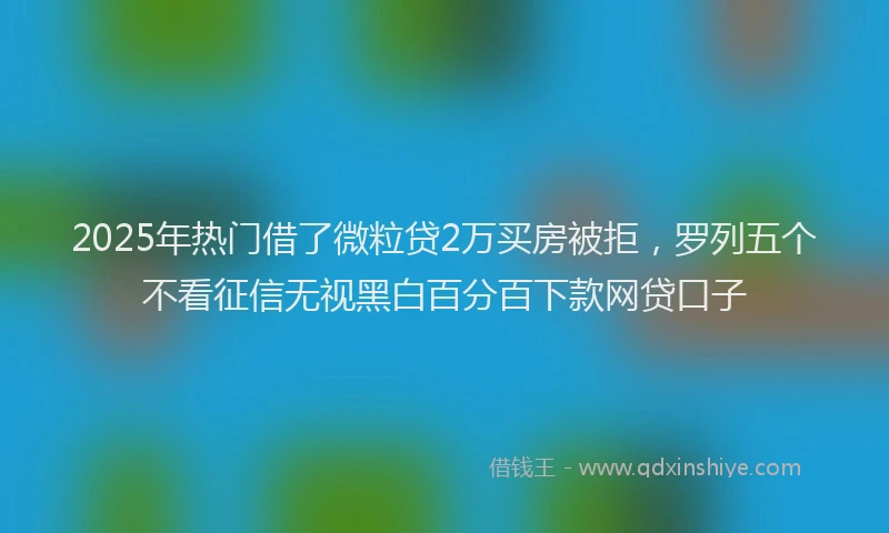 2025年热门借了微粒贷2万买房被拒，罗列五个不看征信无视黑白百分百下款网贷口子