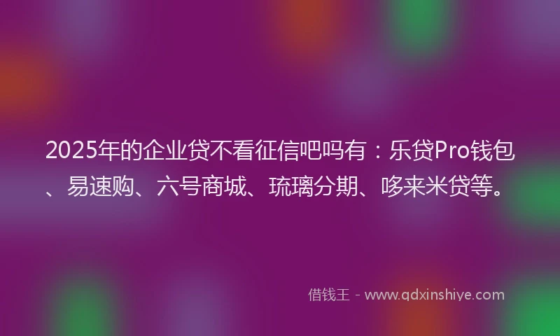 2025年的企业贷不看征信吧吗有：乐贷Pro钱包、易速购、六号商城、琉璃分期、哆来米贷等。