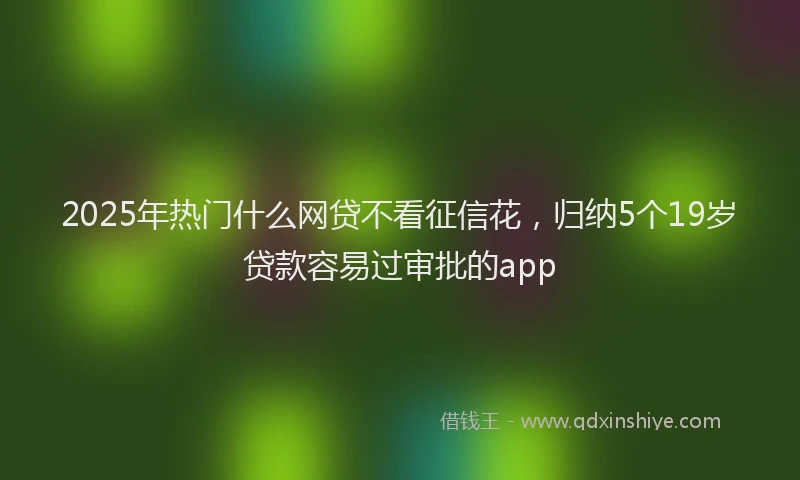 2025年热门什么网贷不看征信花，归纳5个19岁贷款容易过审批的app