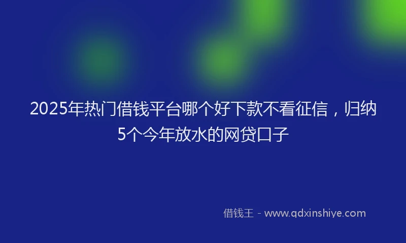 2025年热门借钱平台哪个好下款不看征信，归纳5个今年放水的网贷口子