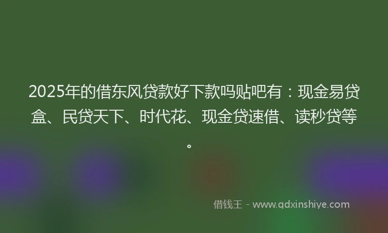 2025年的借东风贷款好下款吗贴吧有：现金易贷盒、民贷天下、时代花、现金贷速借、读秒贷等。