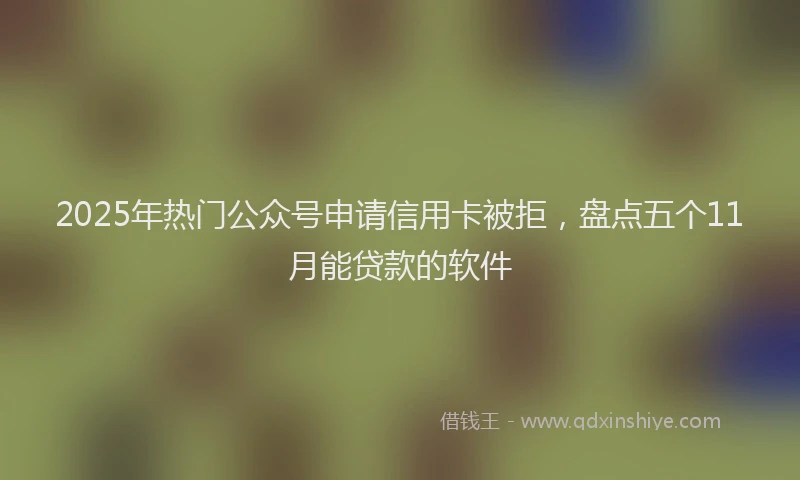 2025年热门公众号申请信用卡被拒，盘点五个11月能贷款的软件